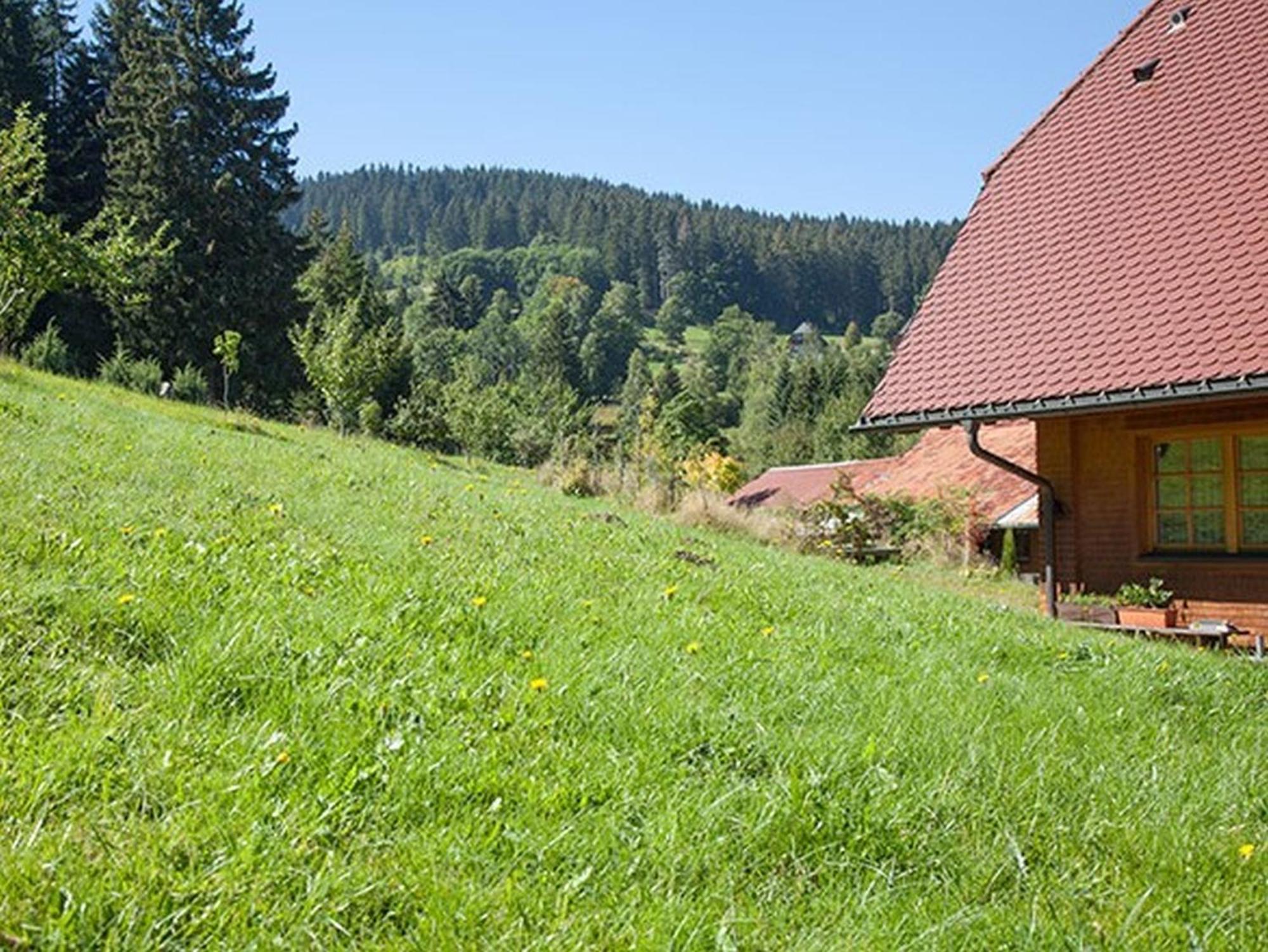 Ferienhaus Esche Hinterzarten Esterno foto
