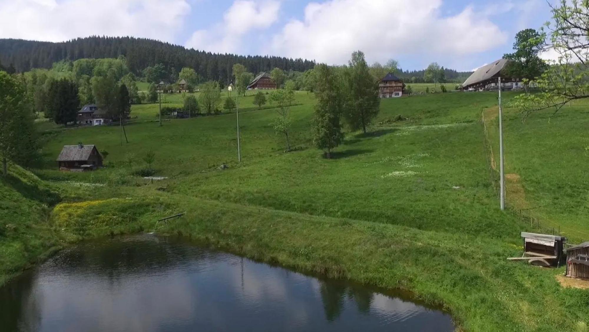 Ferienhaus Esche Hinterzarten Esterno foto