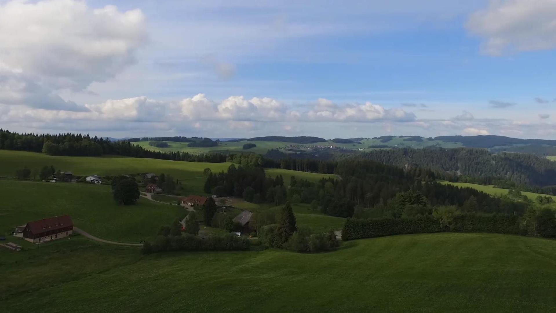 Ferienhaus Esche Hinterzarten Esterno foto