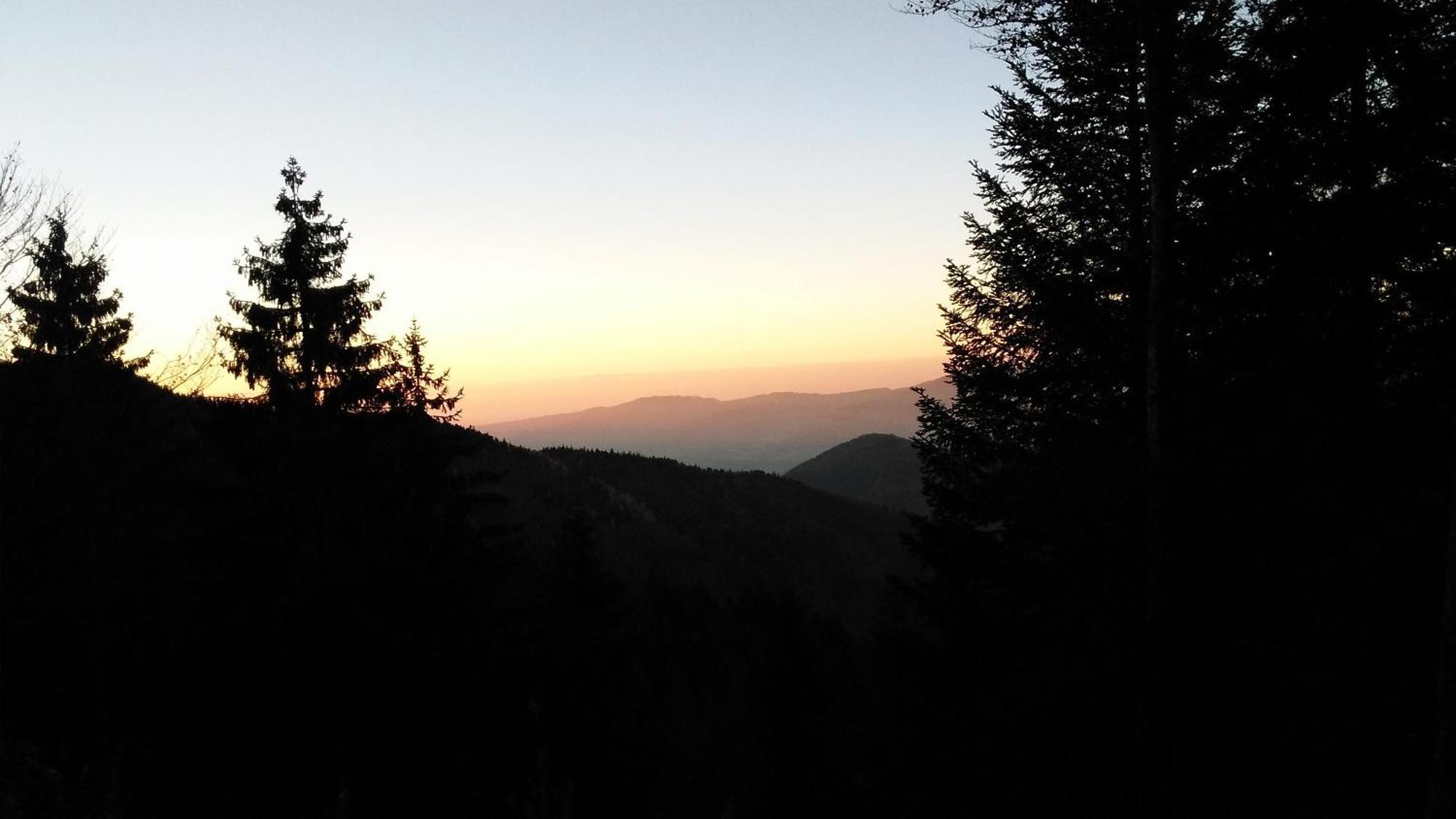 Ferienhaus Esche Hinterzarten Esterno foto