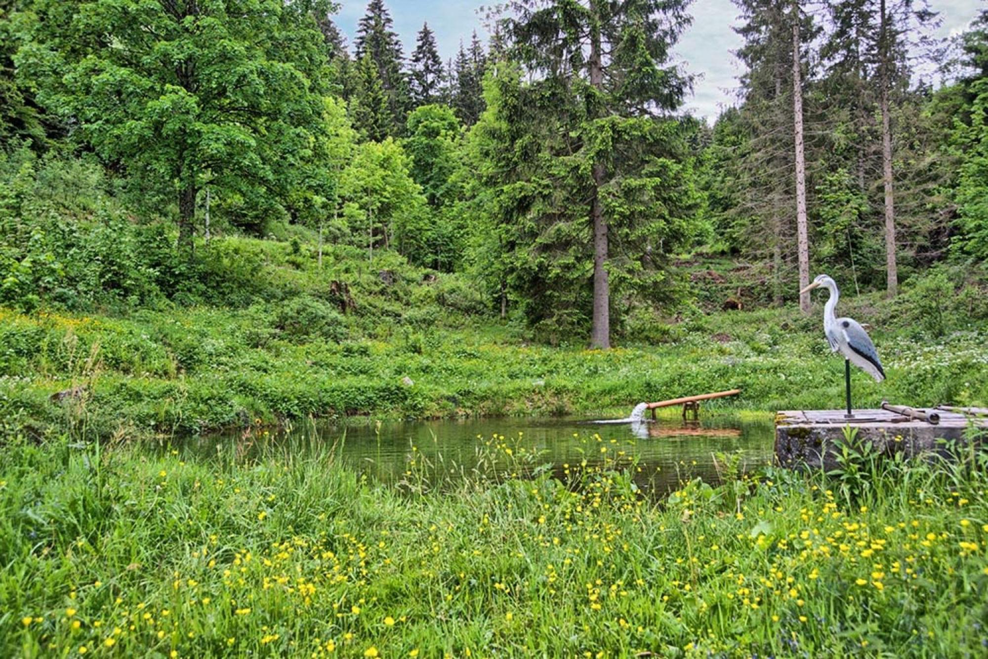Ferienhaus Esche Hinterzarten Esterno foto