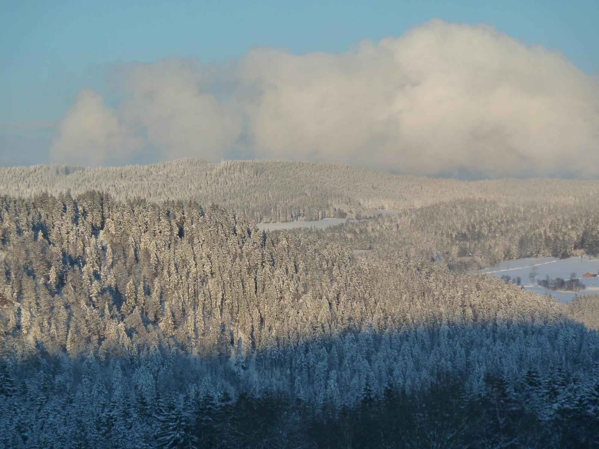 Ferienhaus Esche Hinterzarten Esterno foto