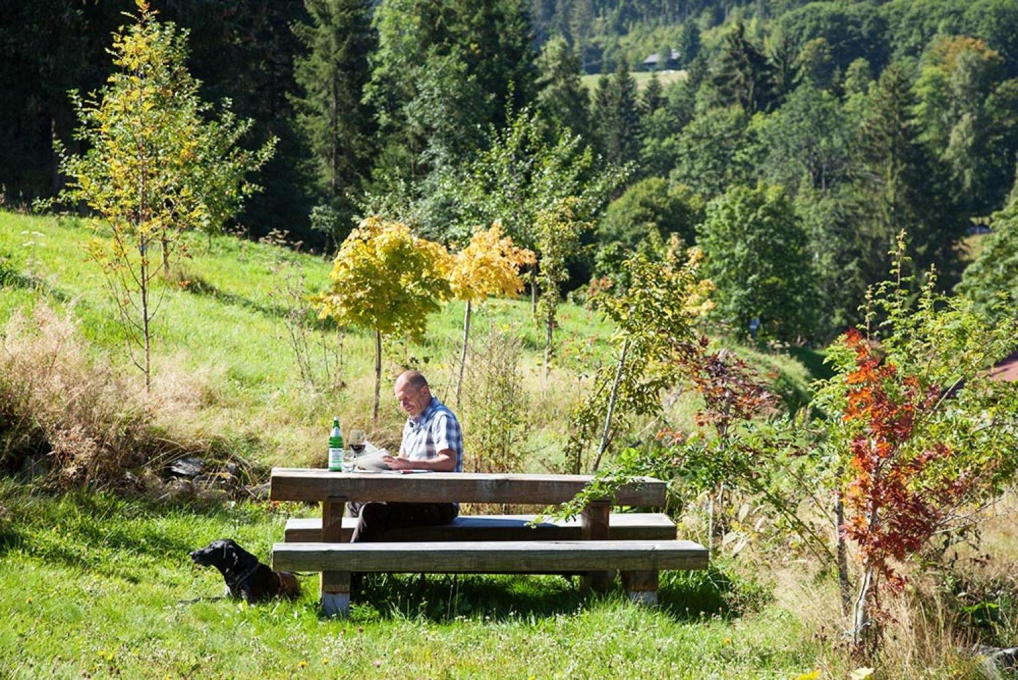 Ferienhaus Esche Hinterzarten Esterno foto