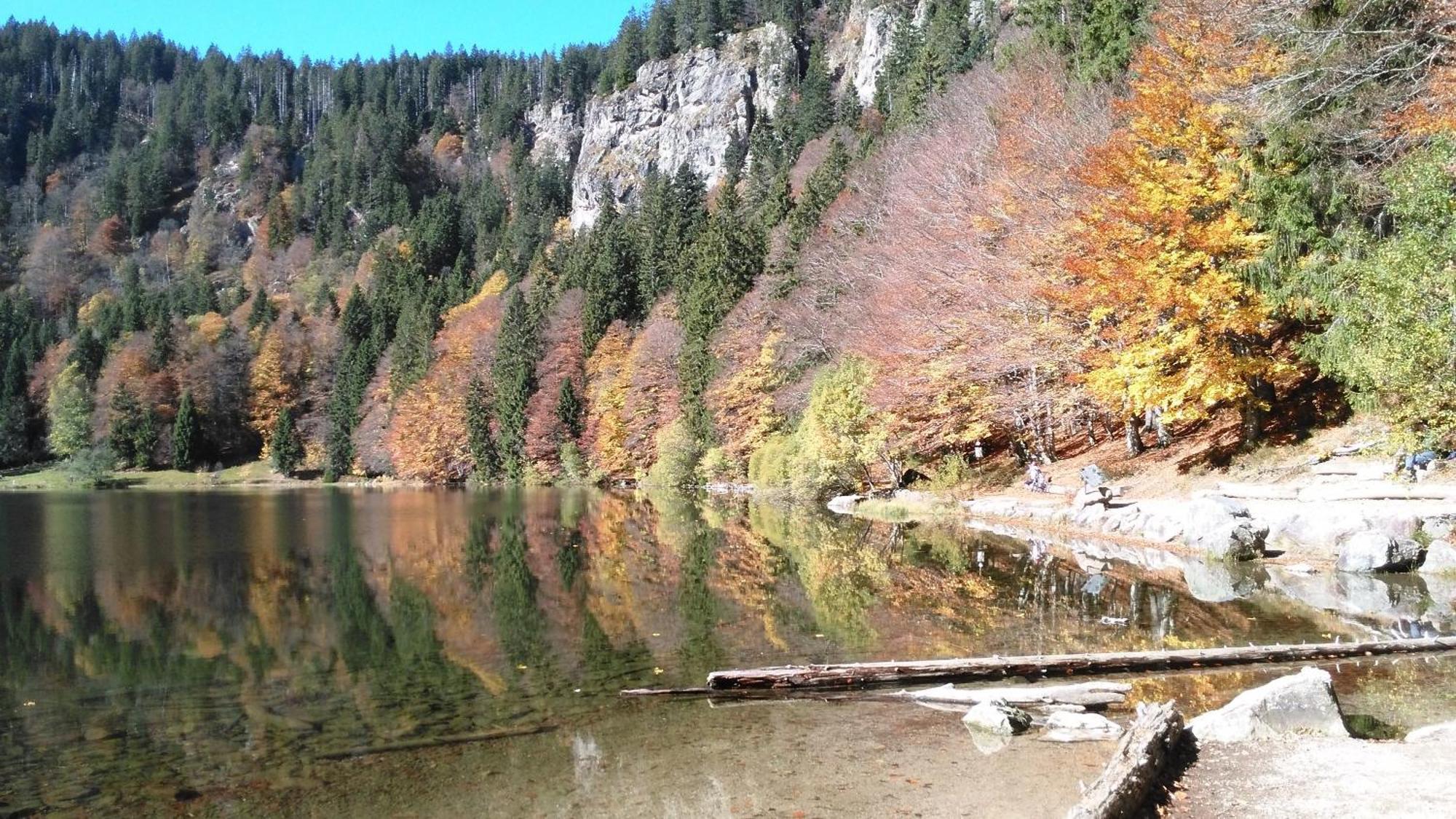 Ferienhaus Esche Hinterzarten Esterno foto