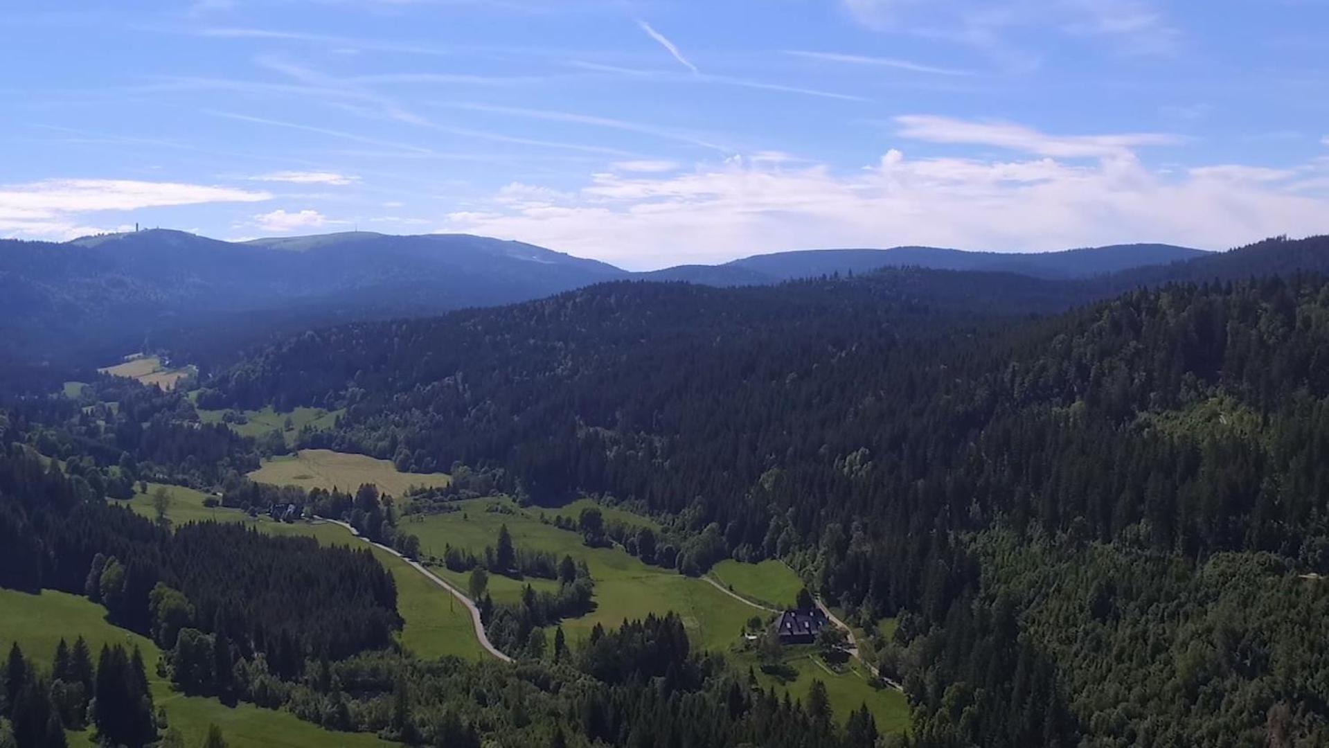 Ferienhaus Esche Hinterzarten Esterno foto