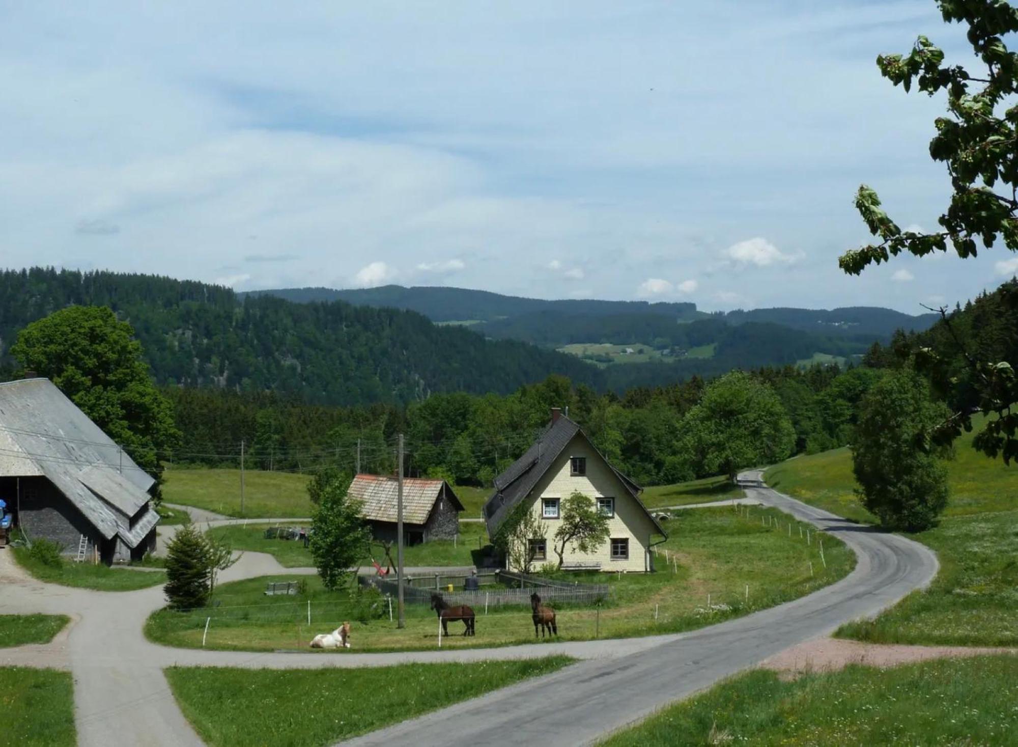 Ferienhaus Esche Hinterzarten Esterno foto